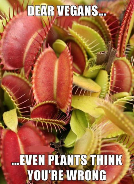 Name:  dearvegans.JPG
Views: 611
Size:  89.5 KB