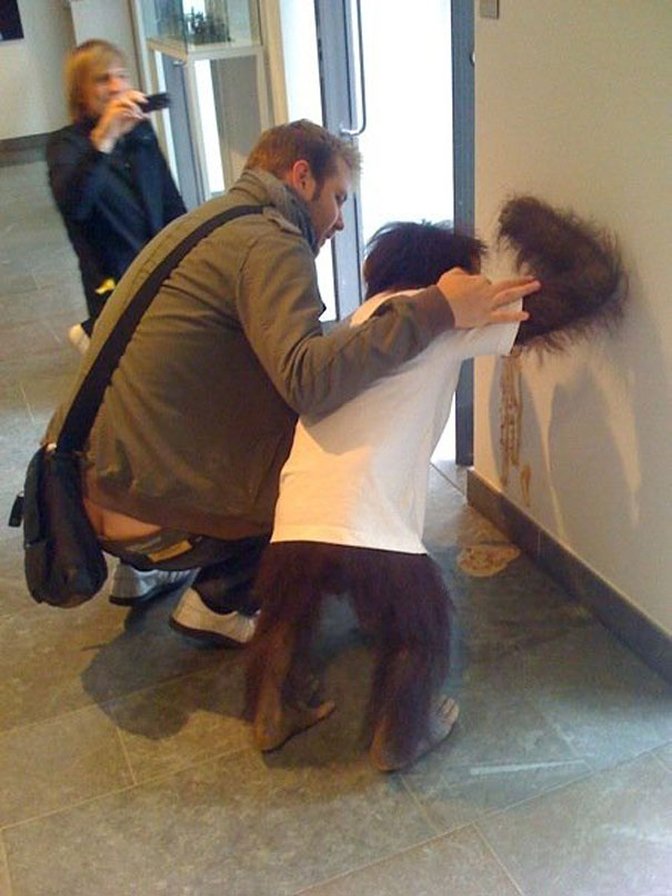 Name:  funny-wtf-picture-unrelated-1.jpg
Views: 1171
Size:  87.1 KB