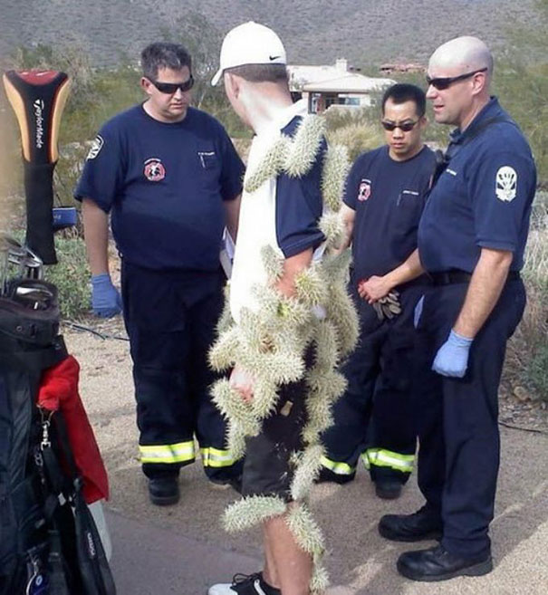 Name:  funny-wtf-picture-unrelated-9.jpg
Views: 1215
Size:  96.5 KB
