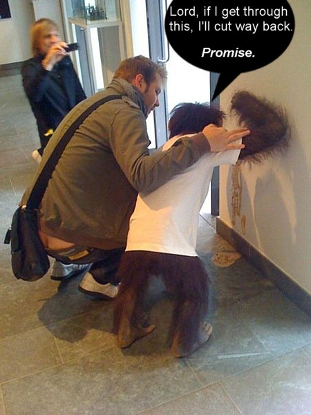 Name:  funny-wtf-picture-unrelated-1.jpg
Views: 842
Size:  69.6 KB