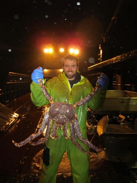 Name:  hugekingcrab.jpg
Views: 445
Size:  56.9 KB