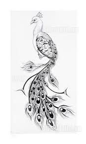 Name:  peacock2.jpg
Views: 318
Size:  6.9 KB