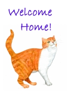 Name:  gingercat2welcomehome200.jpg
Views: 969
Size:  19.6 KB