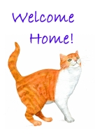 Name:  gingercat2welcomehome200.jpg
Views: 1098
Size:  19.6 KB