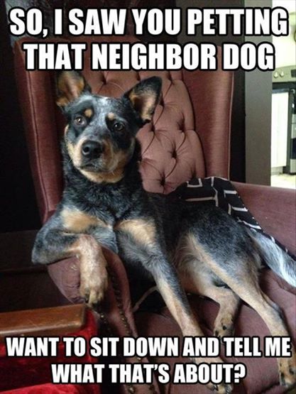 Name:  cowdog.jpg
Views: 701
Size:  51.6 KB