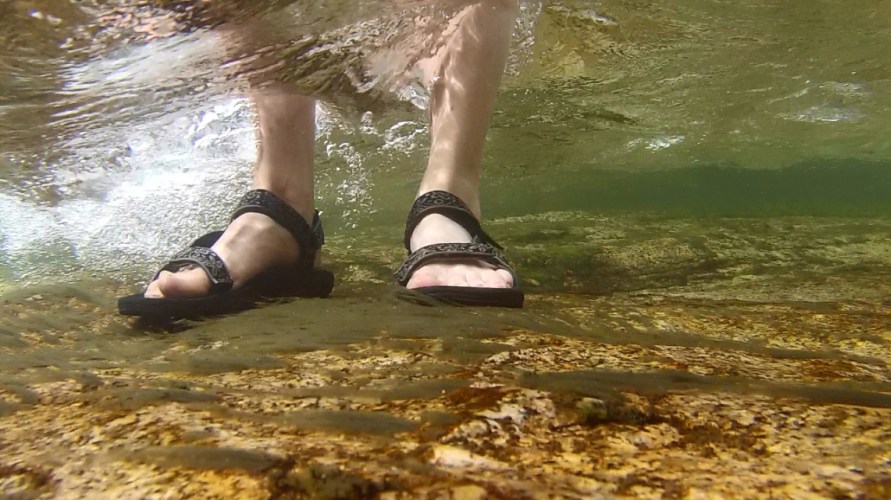 Name:  feet.jpg
Views: 698
Size:  123.5 KB