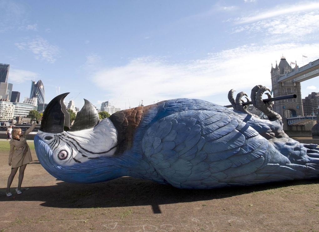 Name:  Norwegian Blue.JPG
Views: 328
Size:  120.9 KB