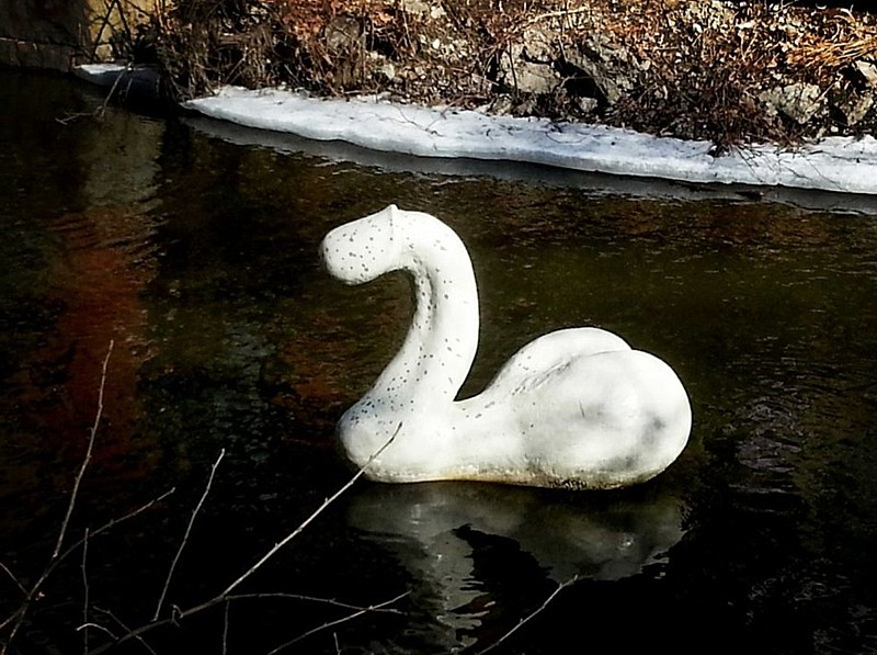 Name:  concretecockswan.jpg
Views: 574
Size:  139.8 KB