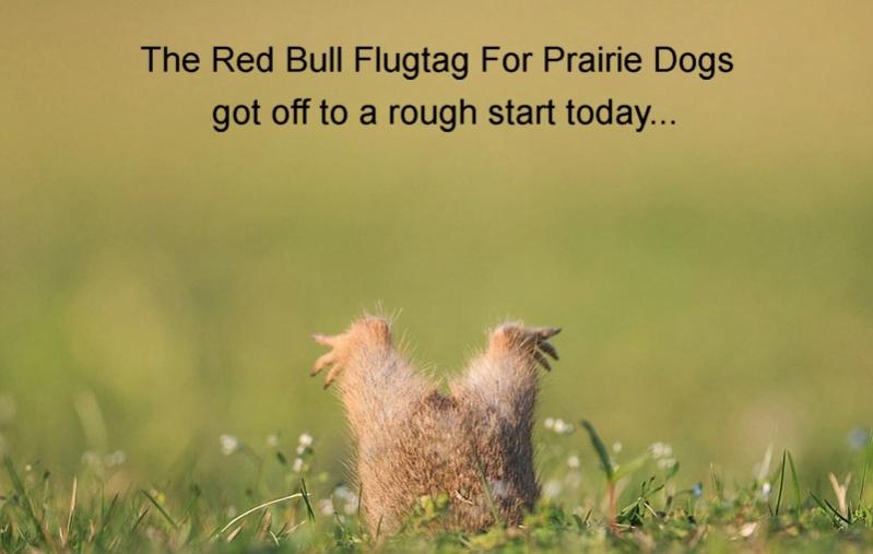 Name:  prairiedog flugtag.jpg
Views: 688
Size:  36.0 KB