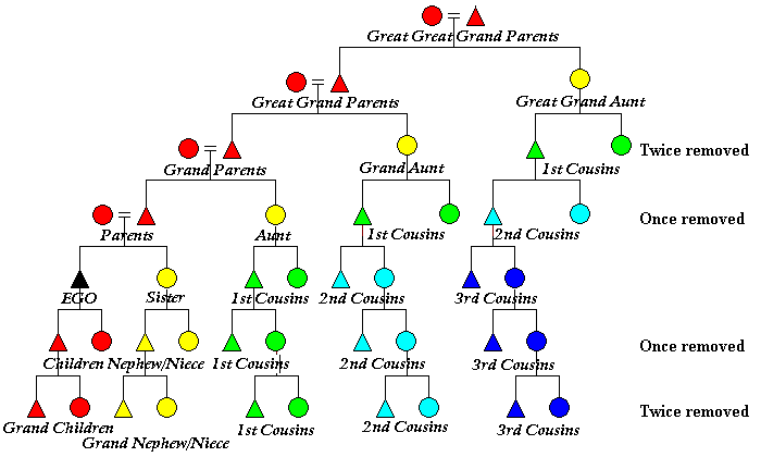 Name:  cousins.gif
Views: 279
Size:  9.7 KB