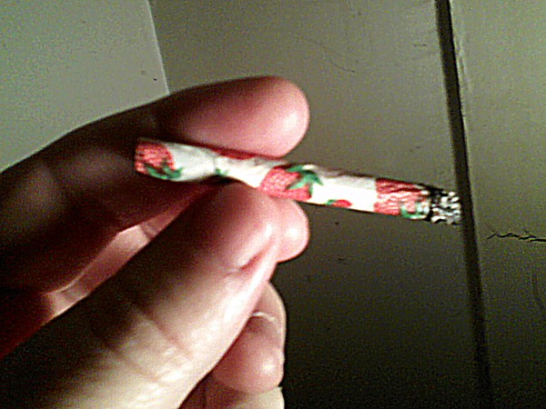 Name:  strawberry 2.jpg
Views: 395
Size:  82.1 KB