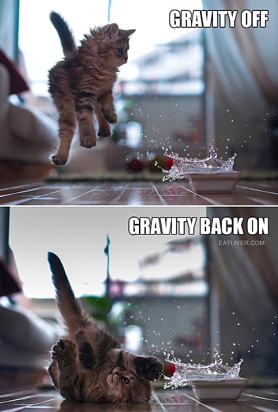 Name:  gravity.jpg
Views: 450
Size:  64.6 KB