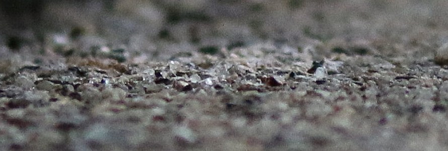 Name:  porch 1.jpg
Views: 192
Size:  133.3 KB