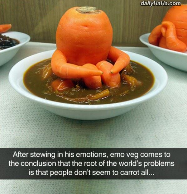 Name:  some_stewing.jpg
Views: 528
Size:  60.6 KB