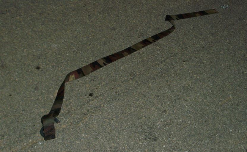 Name:  snake.JPG
Views: 363
Size:  86.6 KB