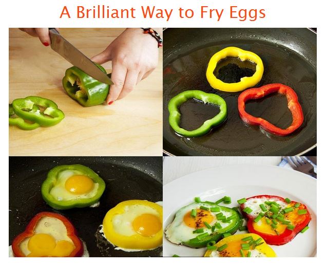 Name:  eggbrilliance.JPG
Views: 778
Size:  60.3 KB