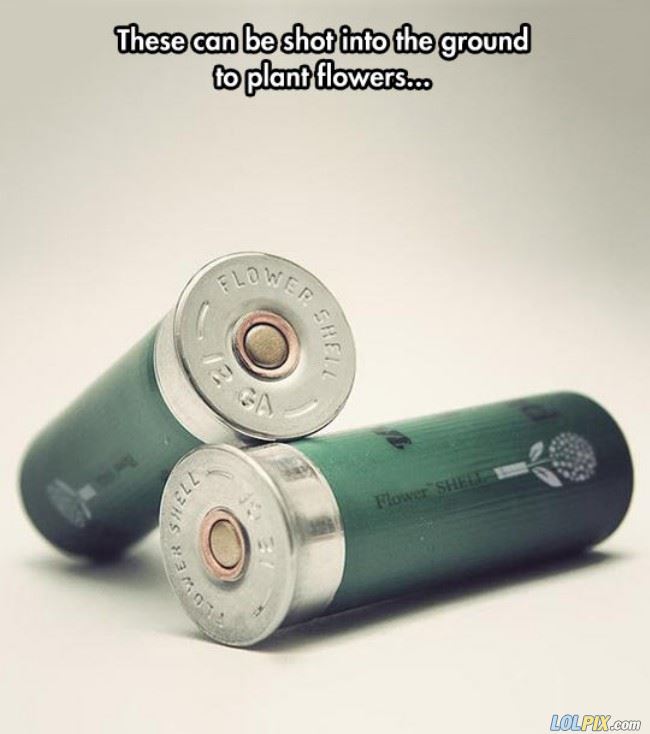 Name:  Flower shell.jpg
Views: 584
Size:  40.2 KB