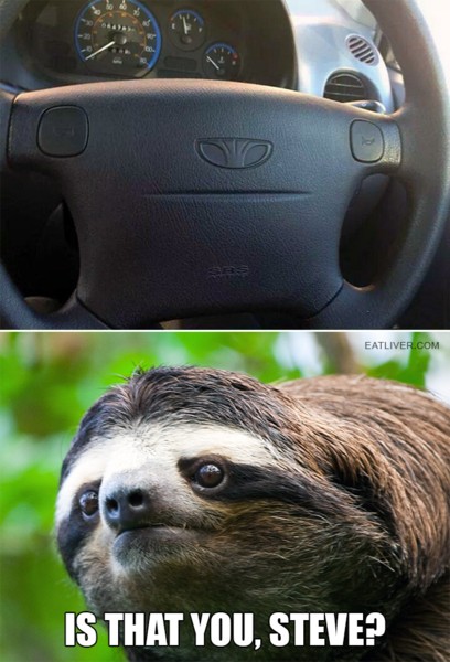 Name:  slothface.jpg
Views: 675
Size:  68.3 KB