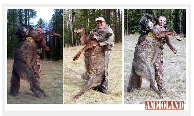Name:  minnesotawolves.JPG
Views: 4385
Size:  70.2 KB