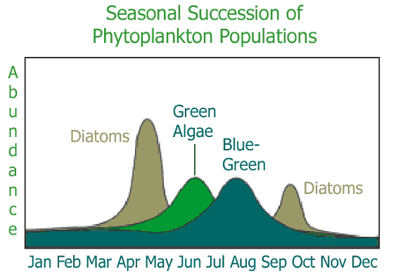 Name:  algae-seasons.jpg
Views: 364
Size:  117.9 KB