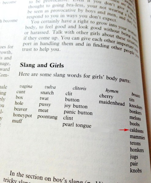 Name:  slangandgirls.jpg
Views: 1005
Size:  74.6 KB