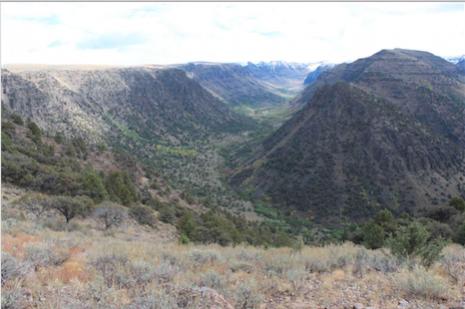 Name:  Steens_2.jpg
Views: 3351
Size:  24.4 KB