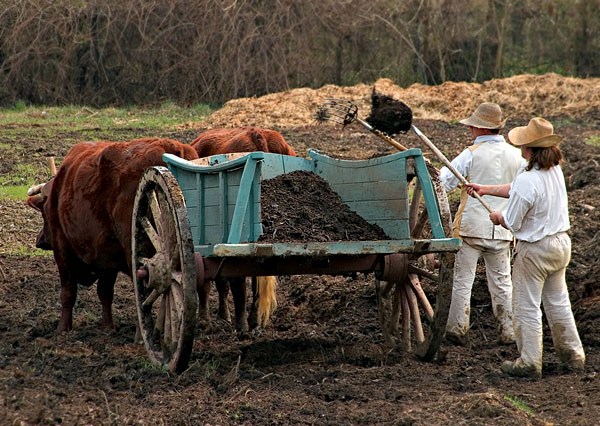 Name:  poopWagon.jpg
Views: 3217
Size:  102.4 KB