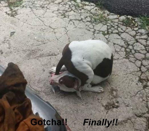Name:  Finally.JPG
Views: 874
Size:  73.3 KB