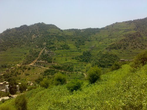 Name:  yemen3.jpg
Views: 521
Size:  46.6 KB