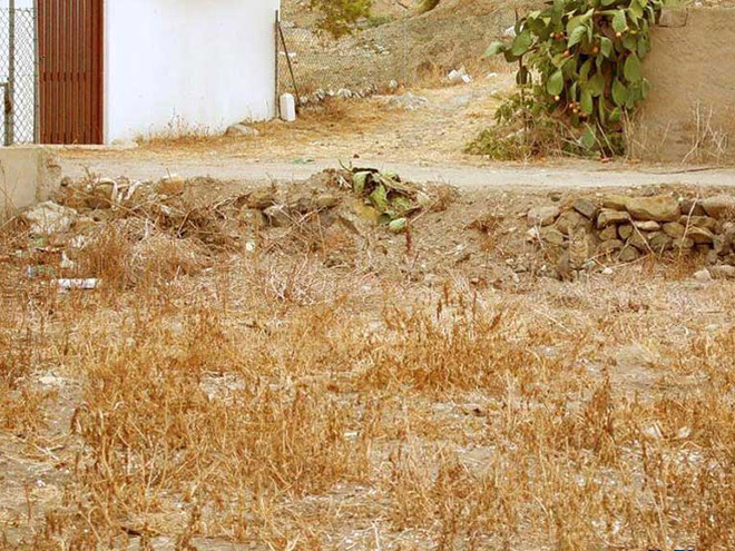Name:  catoflage2.jpg
Views: 1139
Size:  155.7 KB
