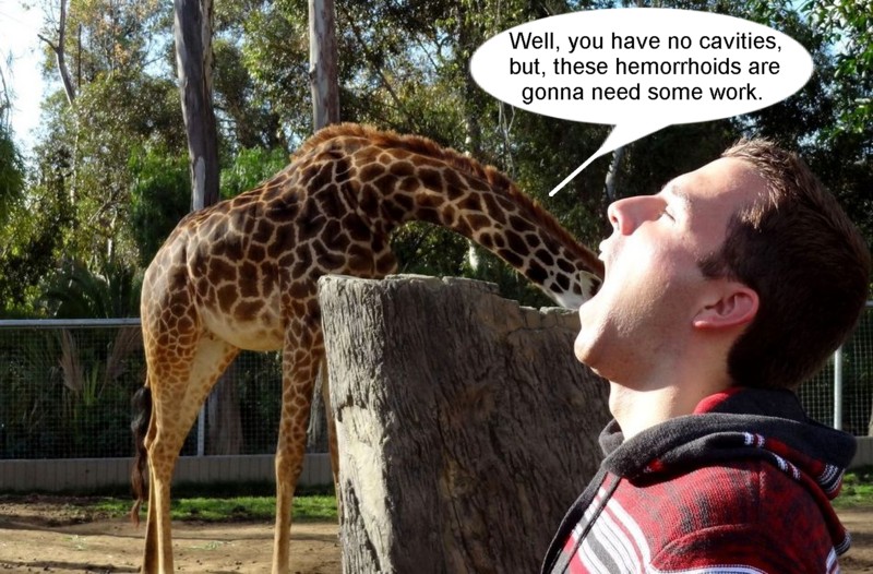 Name:  giraffe dentist.jpg
Views: 356
Size:  149.1 KB