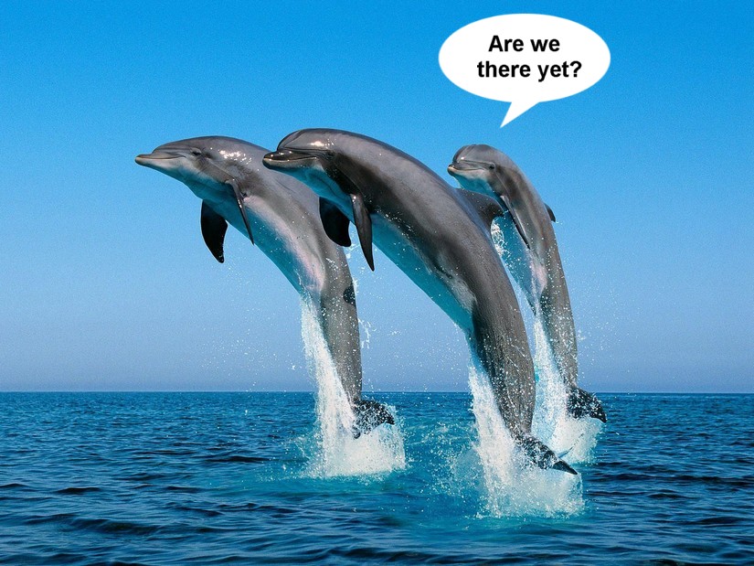 Name:  jumpingdolphins.jpg
Views: 345
Size:  159.0 KB