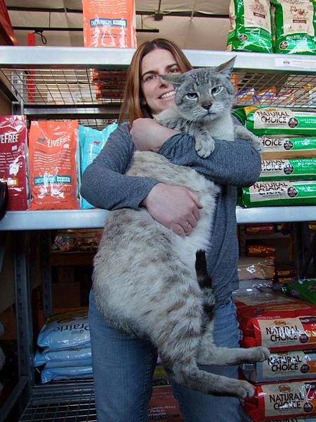 Name:  Andre the shop cat.jpg
Views: 1033
Size:  104.6 KB
