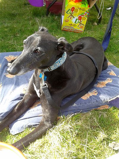 Name:  2015-05-16 10.28.18.jpg
Views: 186
Size:  99.0 KB