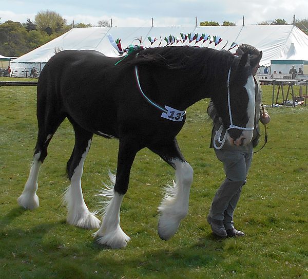 Name:  DSCN1191.jpg
Views: 250
Size:  133.4 KB