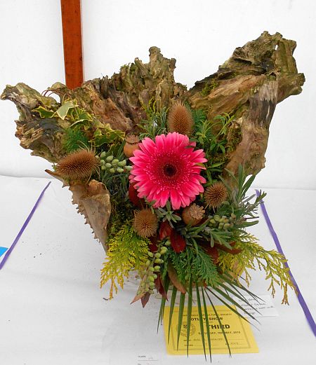 Name:  DSCN1230.jpg
Views: 175
Size:  112.4 KB