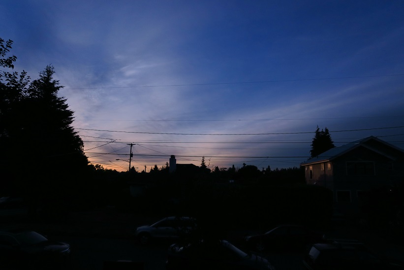 Name:  IMG_5944sm.jpg
Views: 168
Size:  75.7 KB