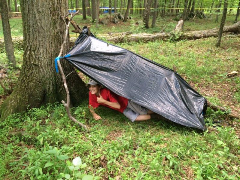 Name:  shelter2.jpg
Views: 398
Size:  123.3 KB
