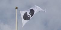 Name:  flag.jpg
Views: 388
Size:  2.3 KB