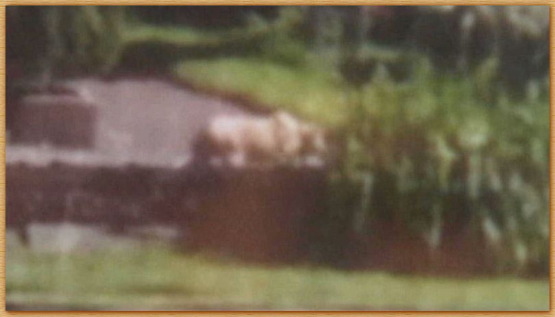Name:  whatsit.JPG
Views: 3917
Size:  40.6 KB