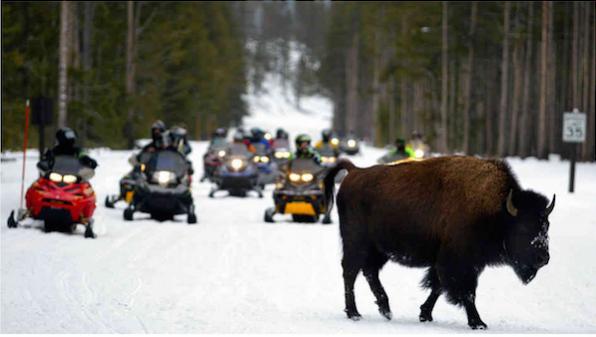 Name:  Snowmobiles.jpg
Views: 4179
Size:  26.6 KB