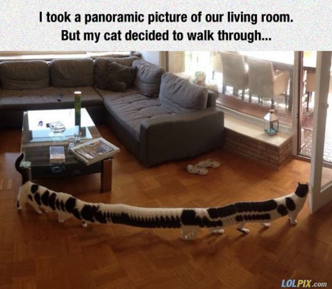 Name:  Panoramic_Picture.jpg
Views: 2154
Size:  53.4 KB