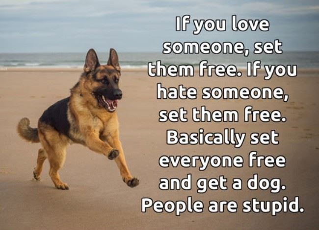 Name:  Set_Them_Free.jpg
Views: 1416
Size:  50.3 KB