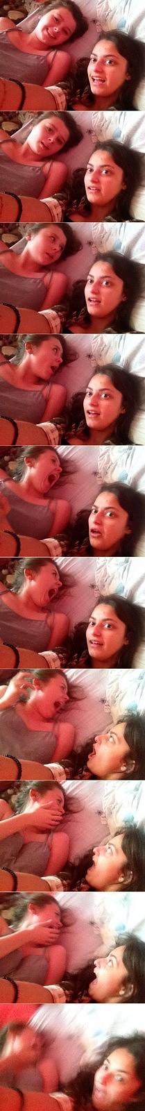 Name:  Spider_Selfie.jpg
Views: 426
Size:  99.2 KB