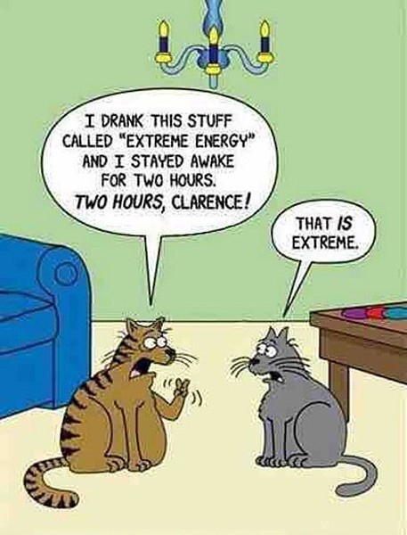 Name:  Extreme_Cats.jpg
Views: 2397
Size:  63.3 KB