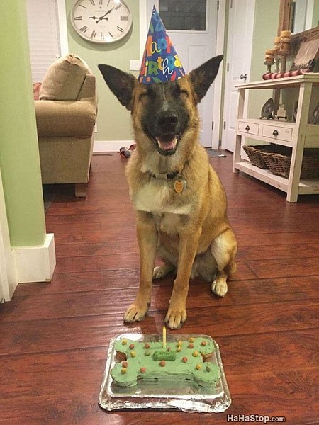 Name:  Best_Birthday_Ever.jpg
Views: 1124
Size:  86.5 KB