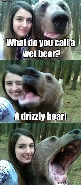 Name:  A_Wet_Bear.jpg
Views: 876
Size:  58.6 KB