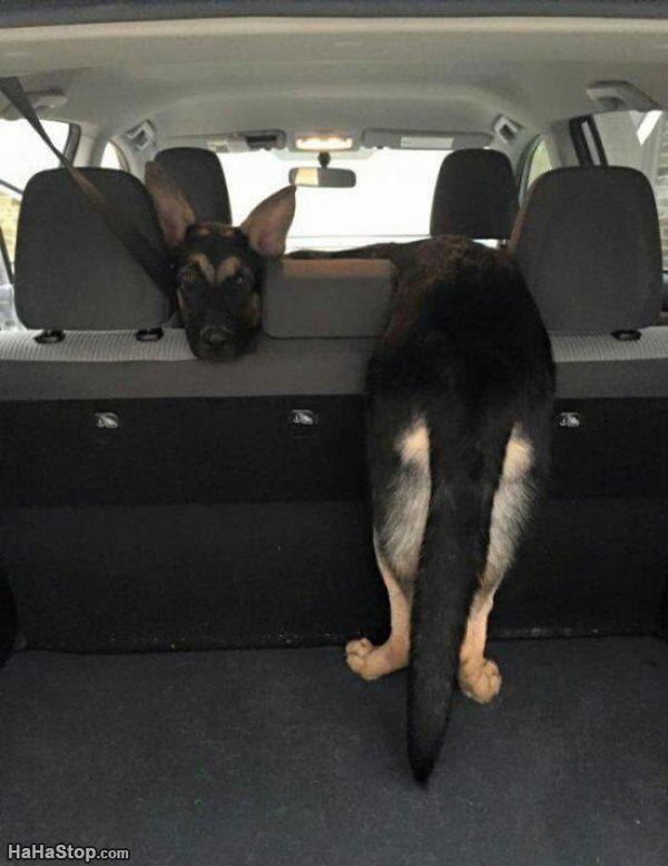 Name:  How_I_Sits.jpg
Views: 863
Size:  51.0 KB