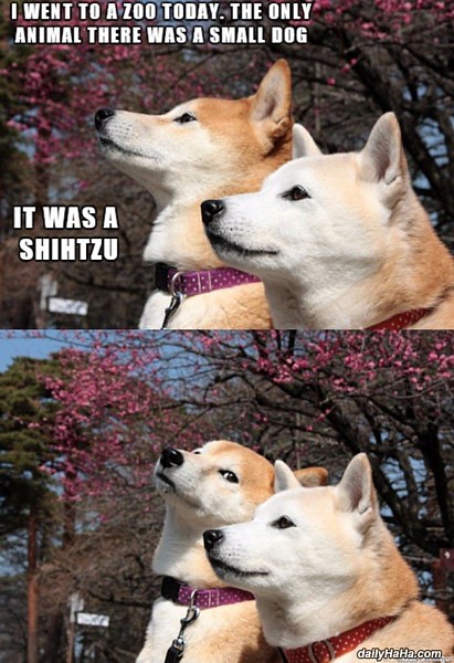 Name:  went_to_the_zoo_today.jpg
Views: 869
Size:  86.5 KB