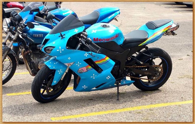 Name:  nyanbike.JPG
Views: 426
Size:  118.2 KB